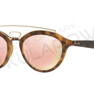 Ray-Ban RB4257 60922Y