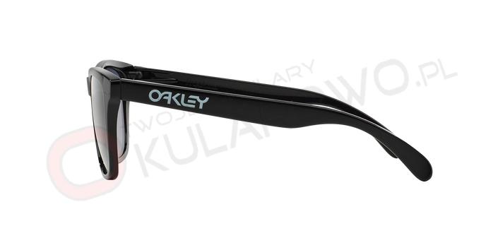 0OO9013__24-306_090A OAKLEY OO9013 24-306 FROGSKINS
