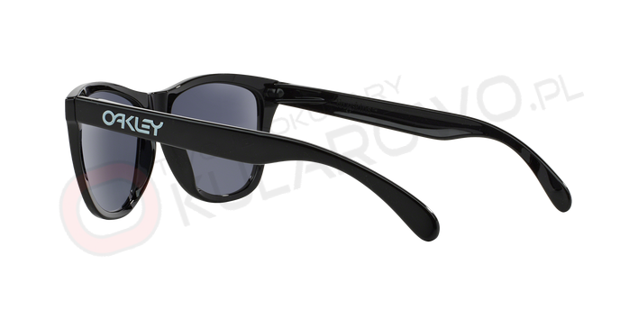 0OO9013__24-306_120A OAKLEY OO9013 24-306 FROGSKINS