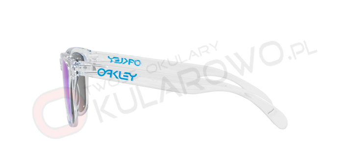 0OO9013__9013A6_090A OAKLEY OO9013 9013A6 FROGSKINS