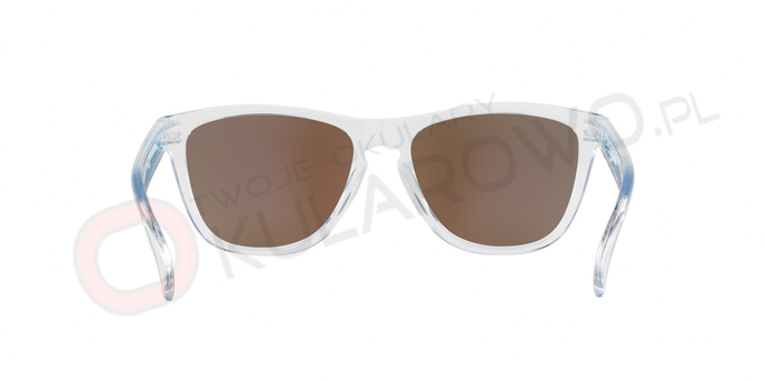 0OO9013__9013A6_180A OAKLEY OO9013 9013A6 FROGSKINS
