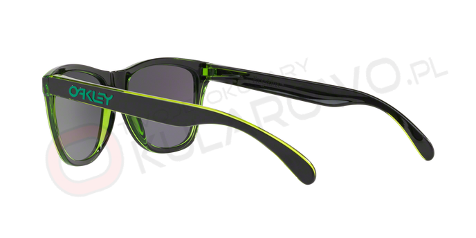 0OO9013__9013A8_120A OAKLEY OO9013 9013A8 FROGSKINS
