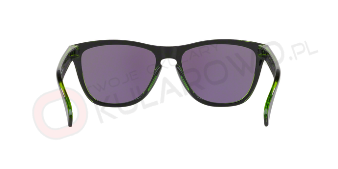 0OO9013__9013A8_180A OAKLEY OO9013 9013A8 FROGSKINS