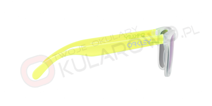 0OO9013__9013B4_270A OAKLEY OO9013 9013B4 FROGSKINS